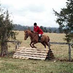 2013-02-16-736s