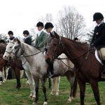 thgive20101125_0330