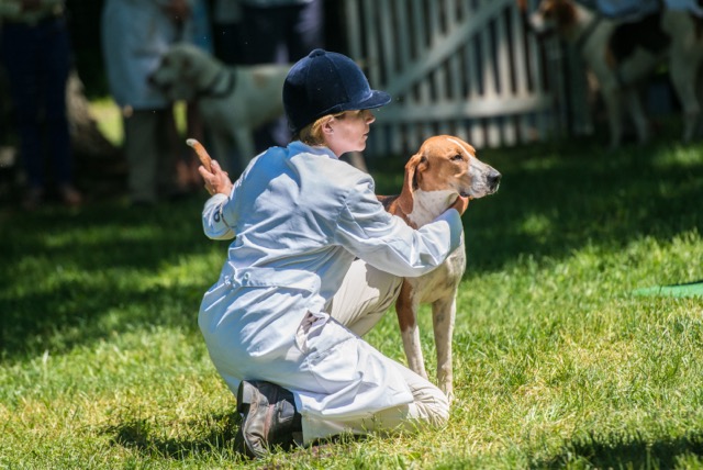 20150524 Middleton 6023
